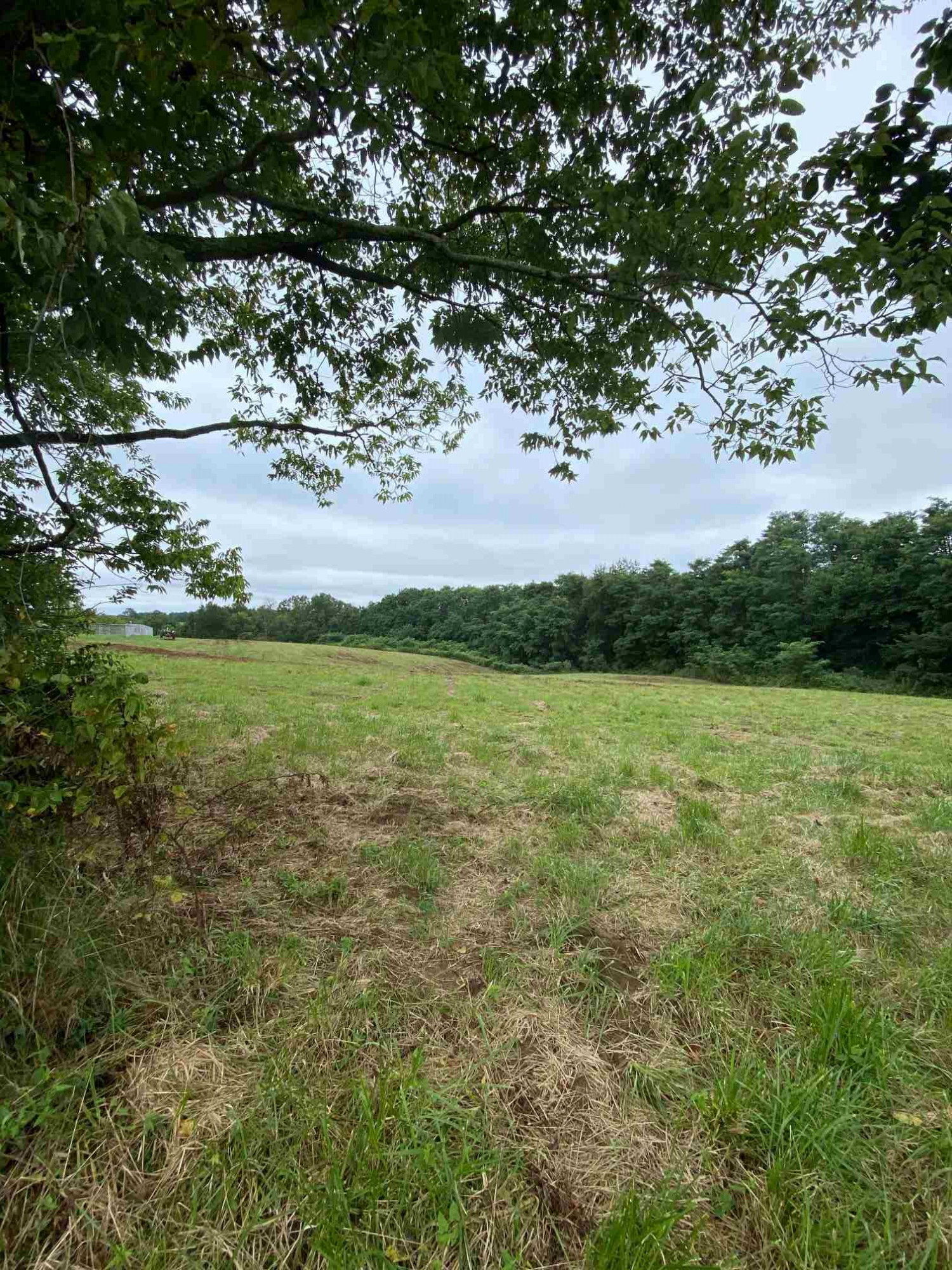 3 Baton Rouge Road Williamstown, KY 41097 - Photo 9 of 25