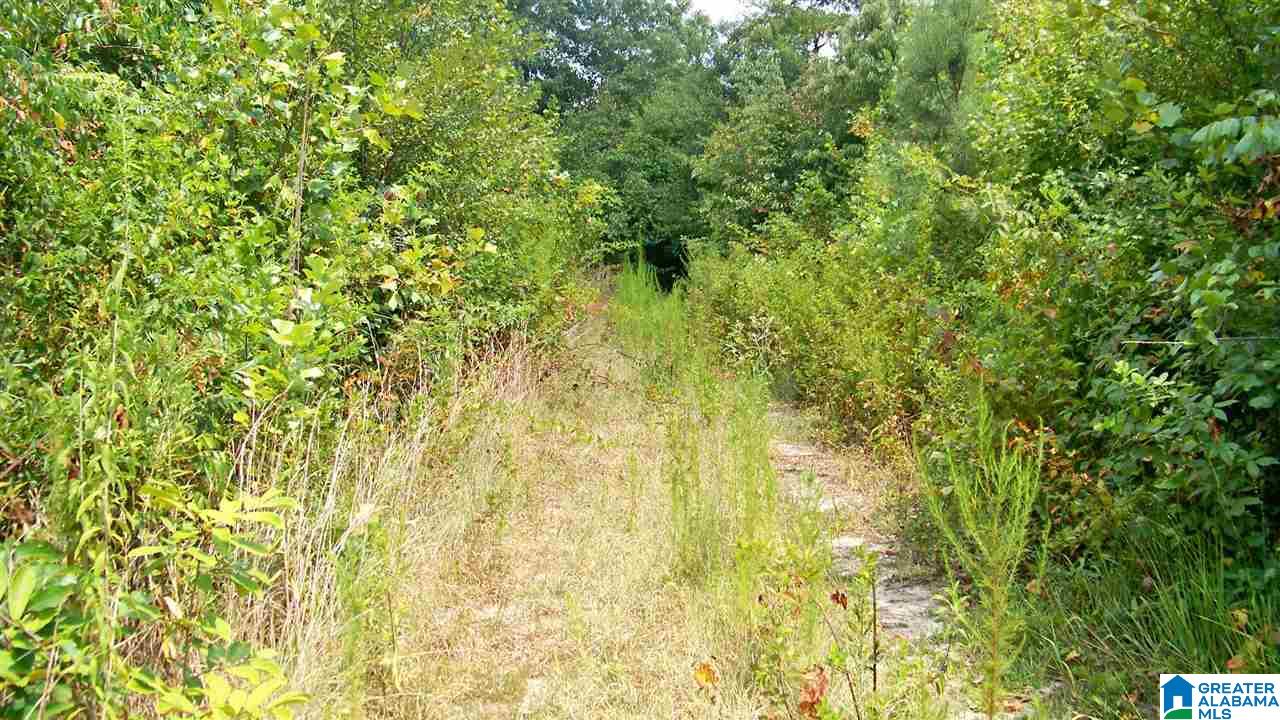 Hanson Road, Unit 33 Horton, AL 35980 - Photo 7 of 9