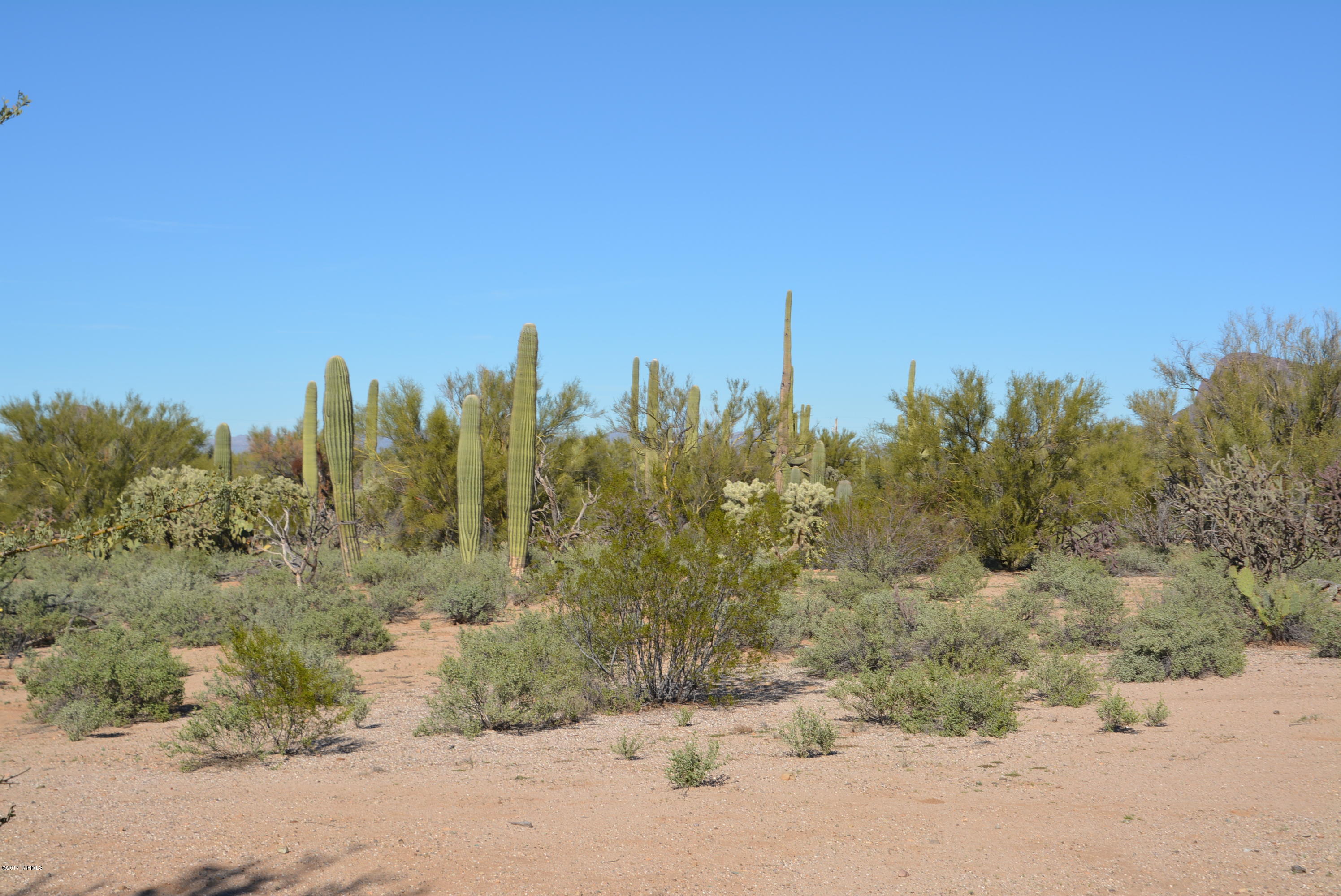 11700 West Rudasill Road, Unit LOT 1 Tucson, AZ 85743 - Photo 3 of 37 Gallery Image 3