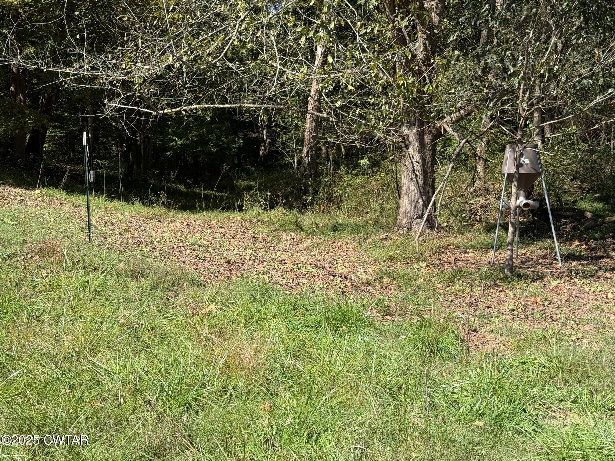 1380 Cleve Duke Road Hornbeak, TN 38232 - Photo 27 of 29 IMG_1870