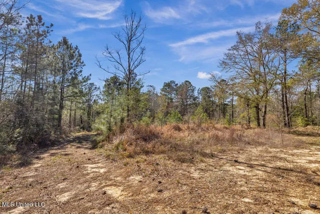 $108,000 | Scott Road, Lucedale, MS 39452