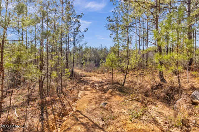 $108,000 | Scott Road, Lucedale, MS 39452