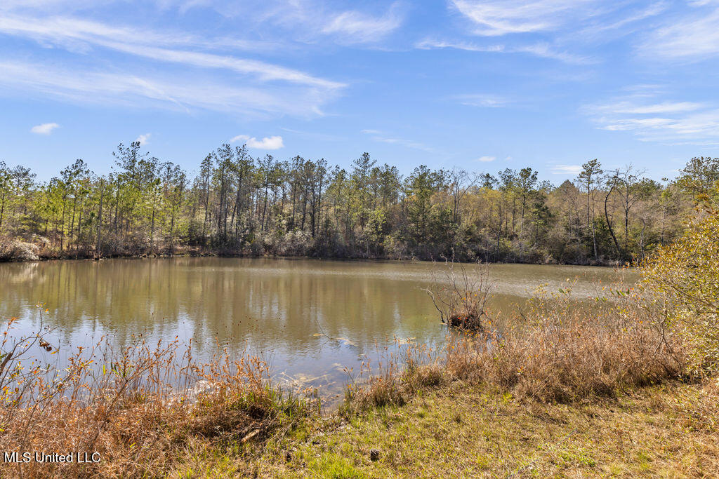 Scott Road Lucedale, MS 39452 - Photo 14 of 30 1000037744