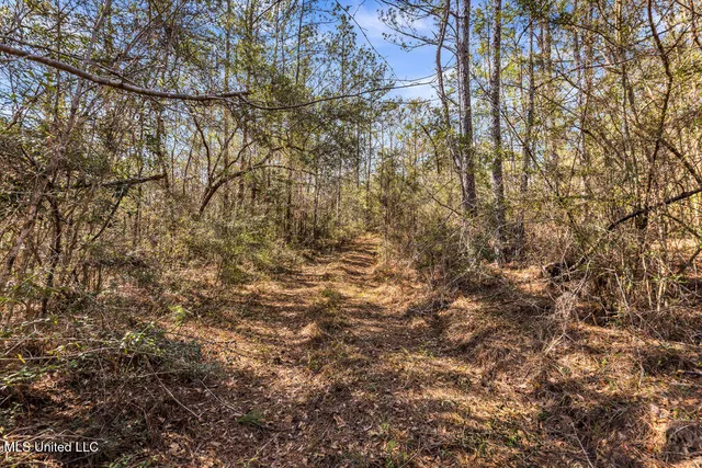 $108,000 | Scott Road, Lucedale, MS 39452