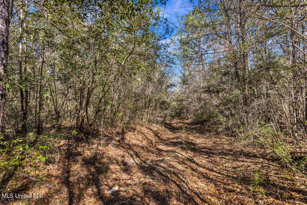 Scott Road Lucedale, MS 39452 - Photo 18 of 30 1000037748