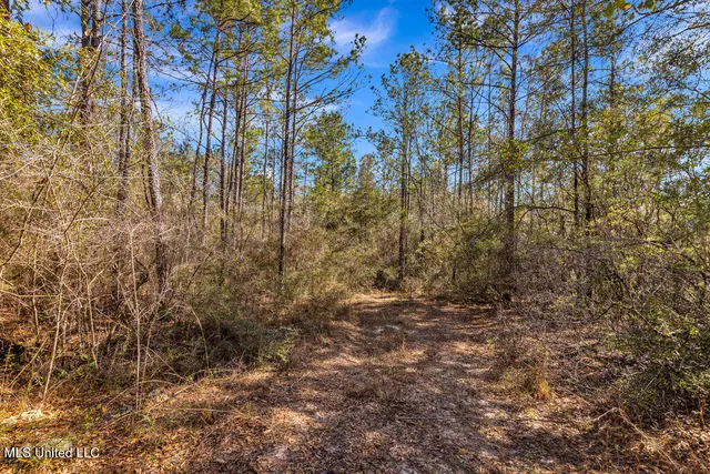 $108,000 | Scott Road, Lucedale, MS 39452