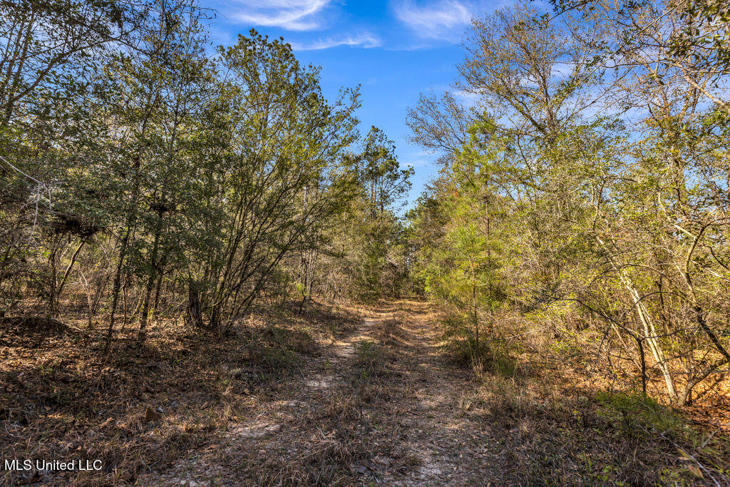 Scott Road Lucedale, MS 39452 - Photo 20 of 30 1000037750
