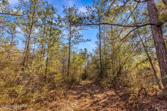 $108,000 | Scott Road, Lucedale, MS 39452