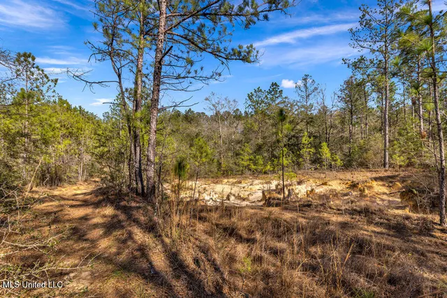 $108,000 | Scott Road, Lucedale, MS 39452