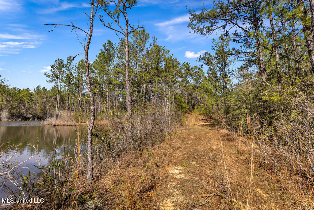 Scott Road Lucedale, MS 39452 - Photo 24 of 30 1000037754