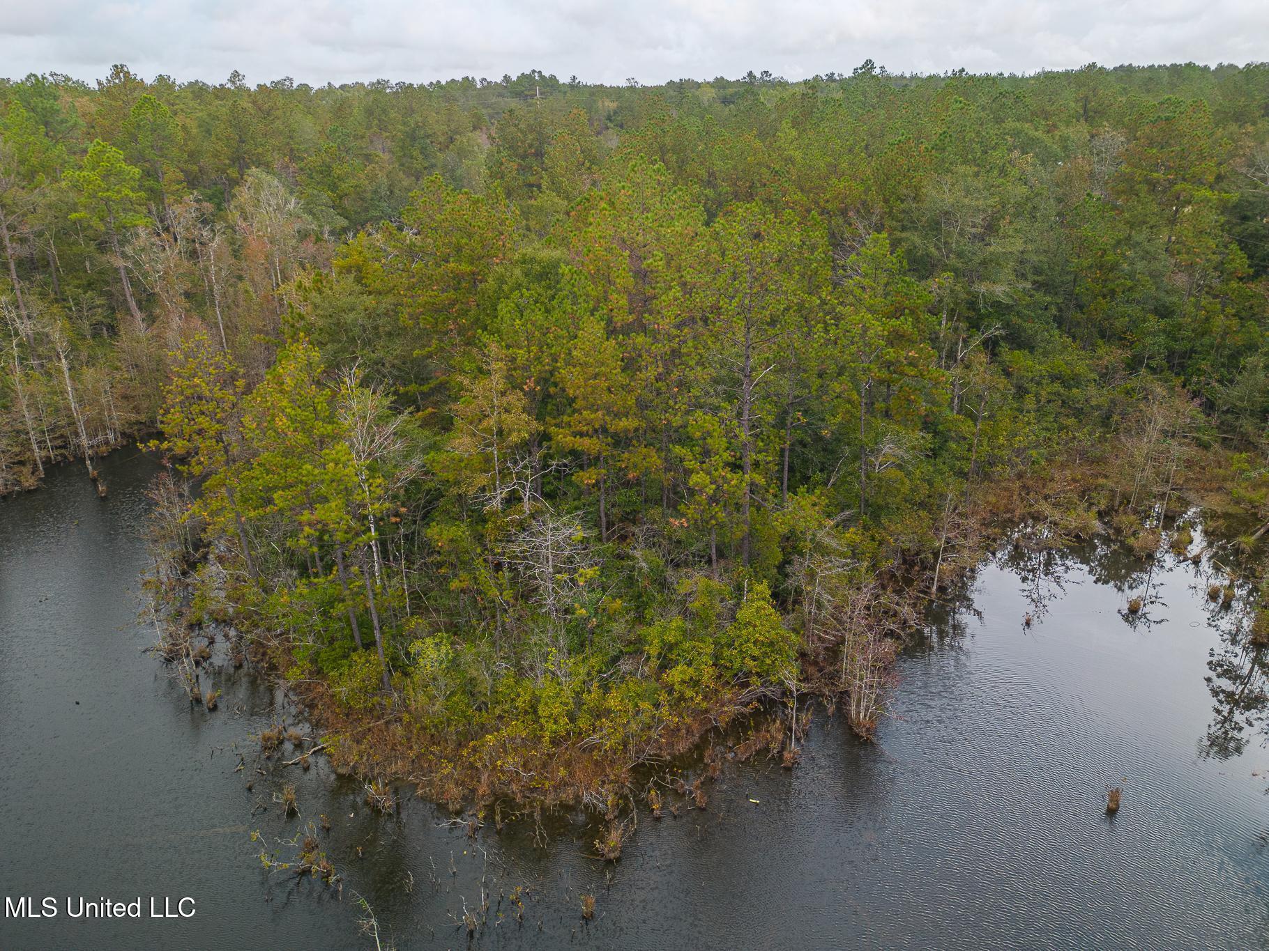 Scott Road Lucedale, MS 39452 - Photo 8 of 30 1000031787