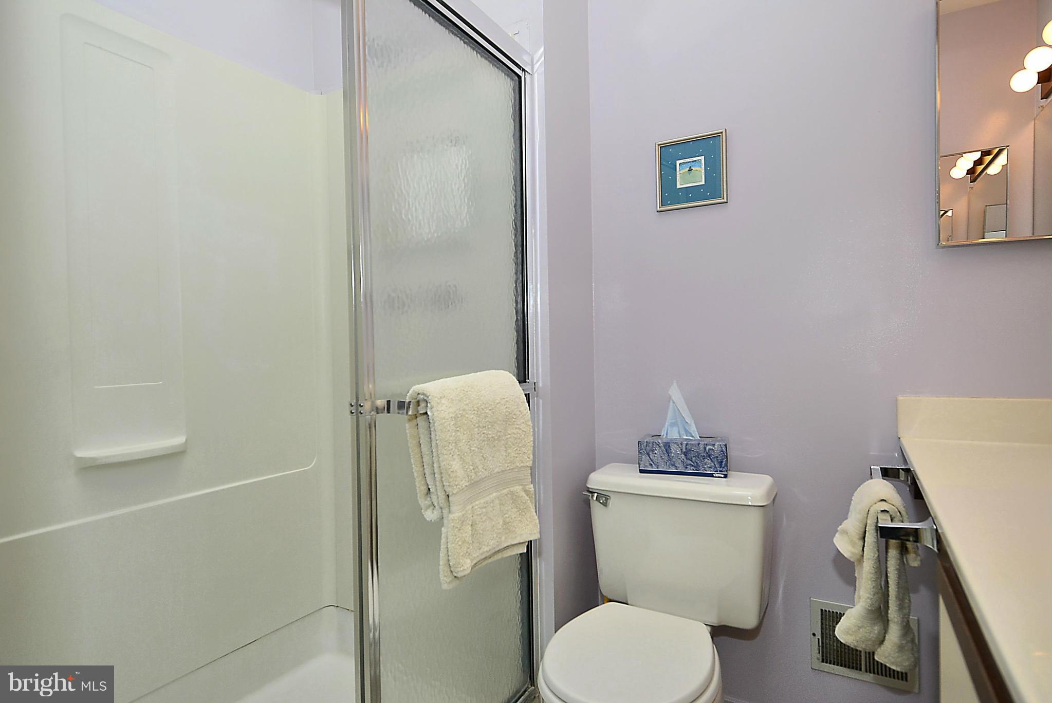 10040 Pratt Place Silver Spring, MD 20910 - Photo 20 of 26 Bath (Master) with Skylight