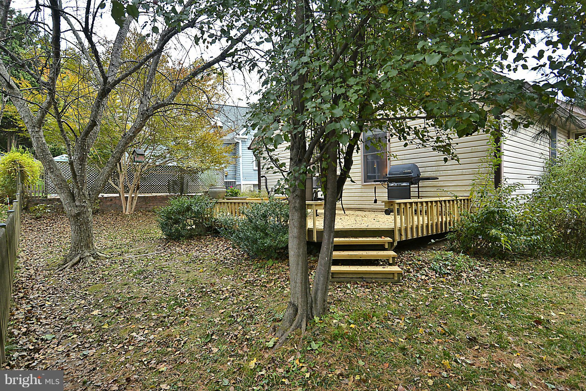 10040 Pratt Place Silver Spring, MD 20910 - Photo 26 of 26 Nice Yard