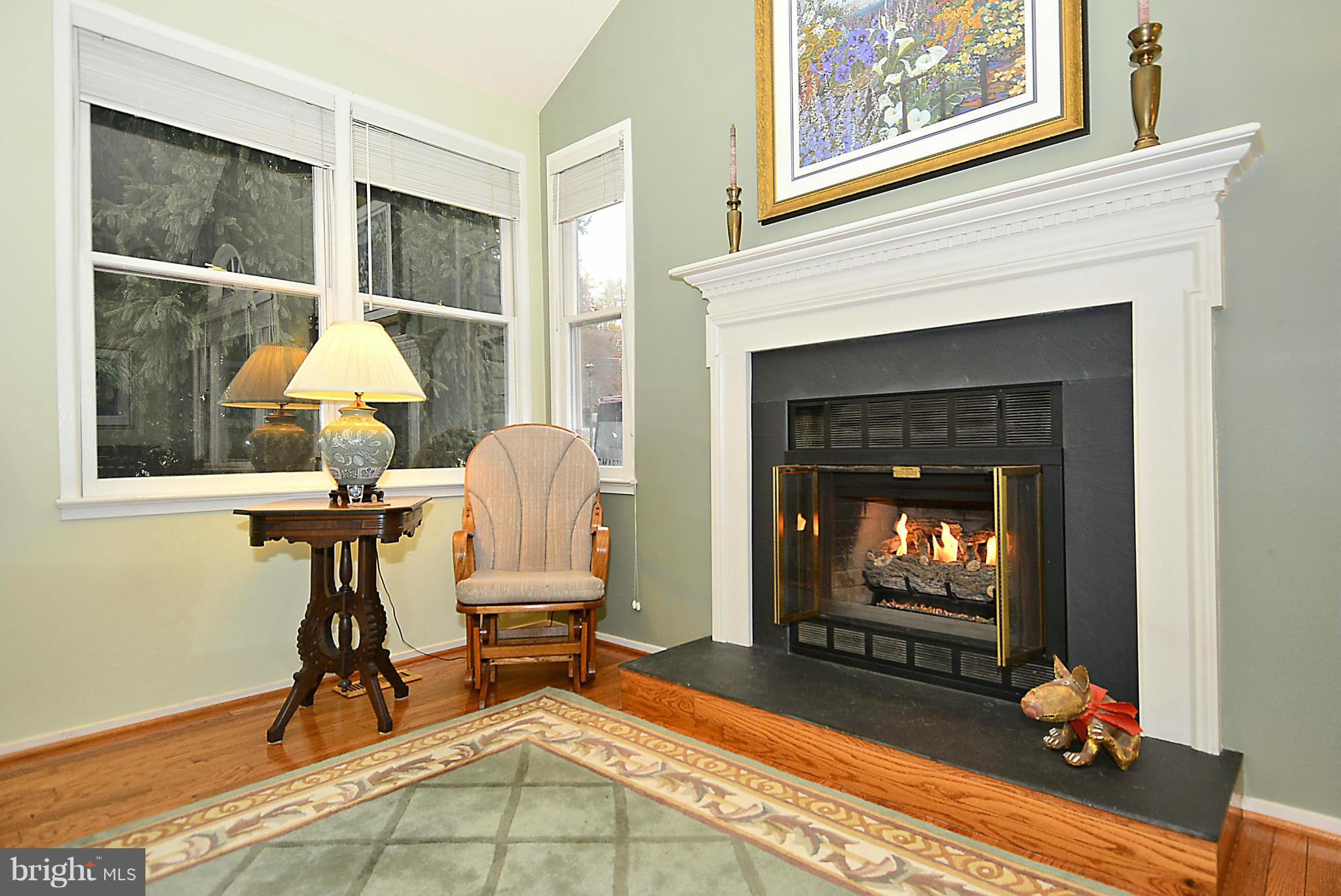 10040 Pratt Place Silver Spring, MD 20910 - Photo 7 of 26 Living Room with Gas Fireplace