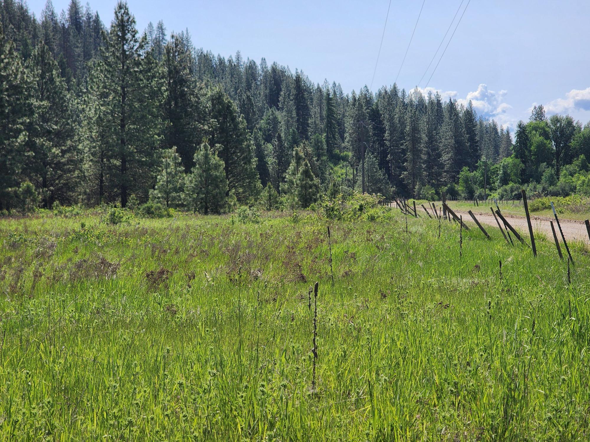 Xxx Hall Creek Road Inchelium, WA 99138 - Photo 19 of 22 Gallery Image 19