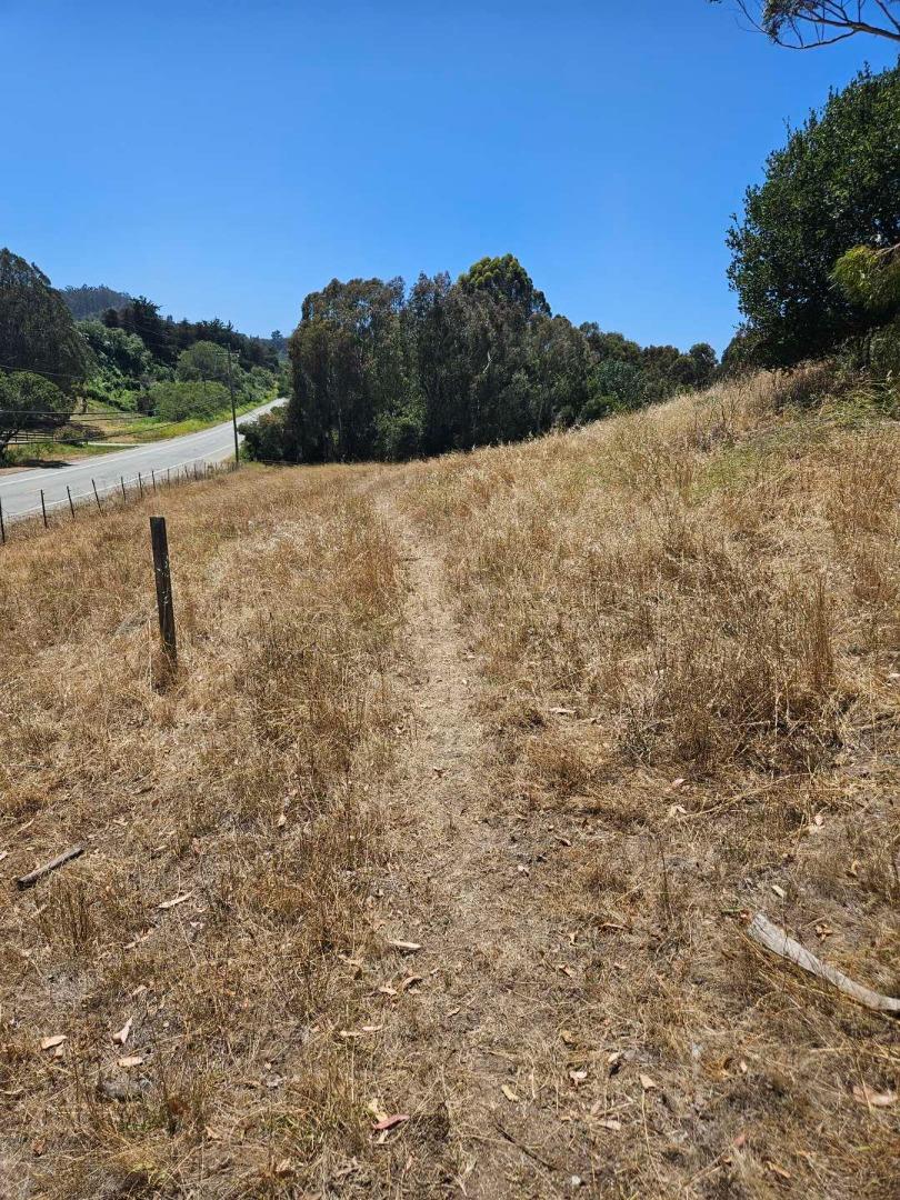 603 Carpenteria Road Aromas, CA 95004 - Photo 4 of 24
