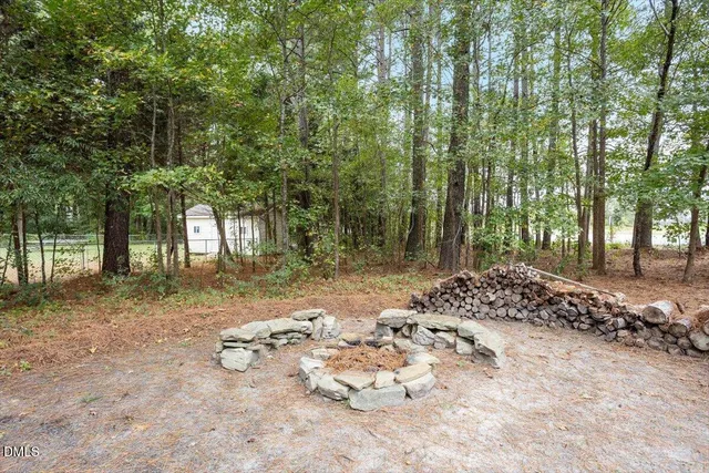 a view of a yard with plants and trees