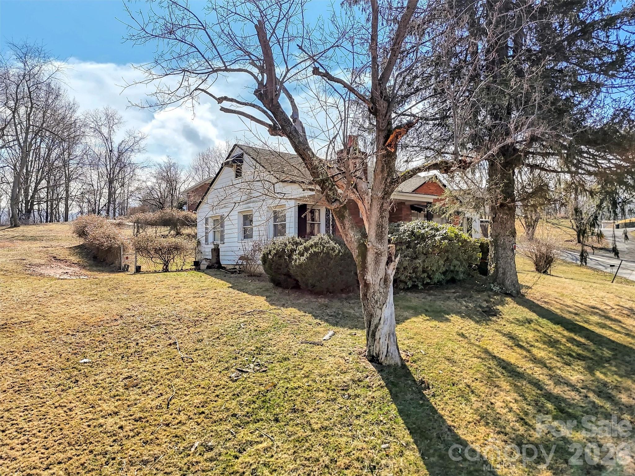301 Mulberry Street Clyde, NC 28721 - Photo 20 of 23 a view of a yard with snow on the road