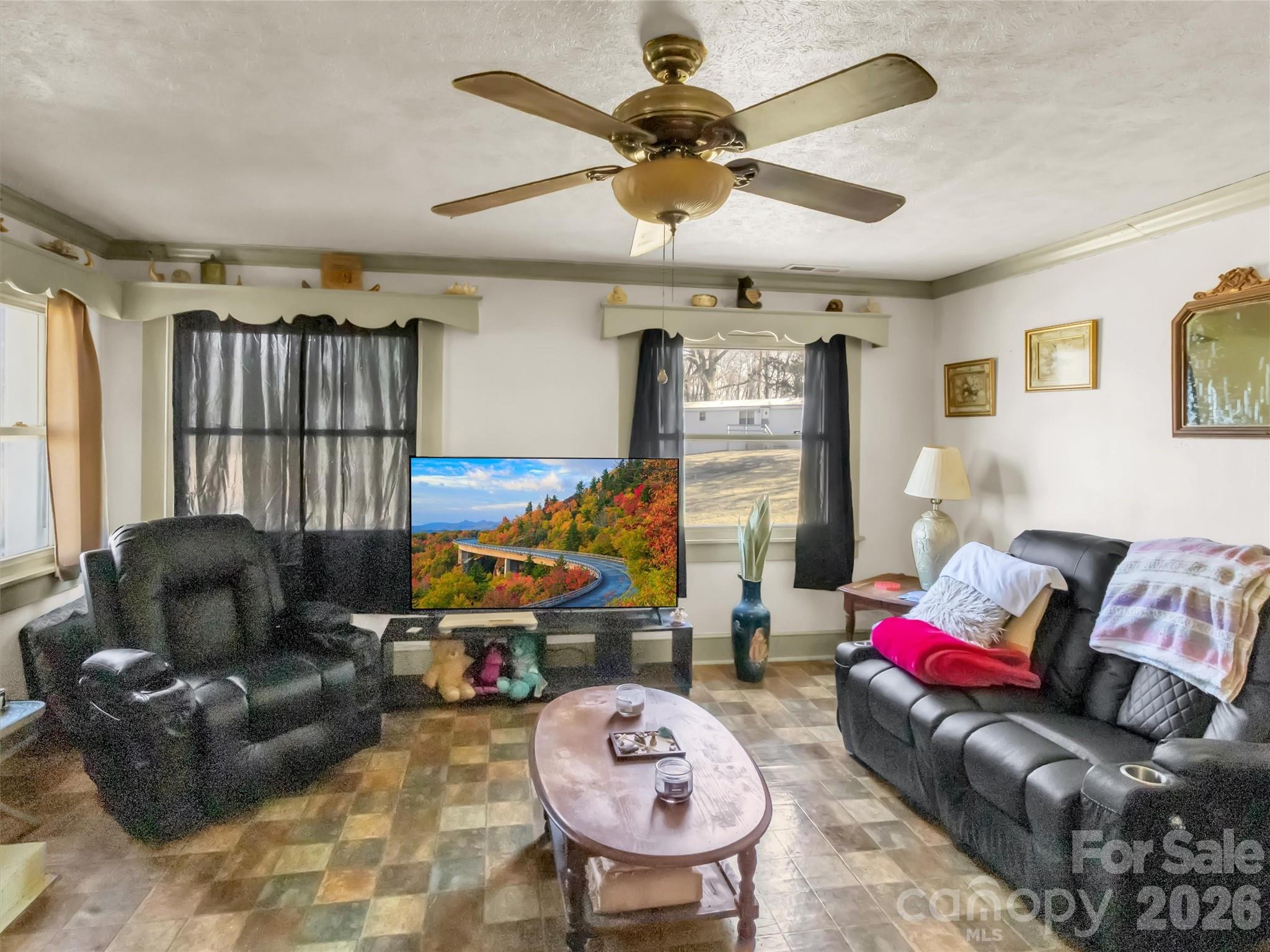 301 Mulberry Street Clyde, NC 28721 - Photo 7 of 23 a living room with furniture a ceiling fan and a rug