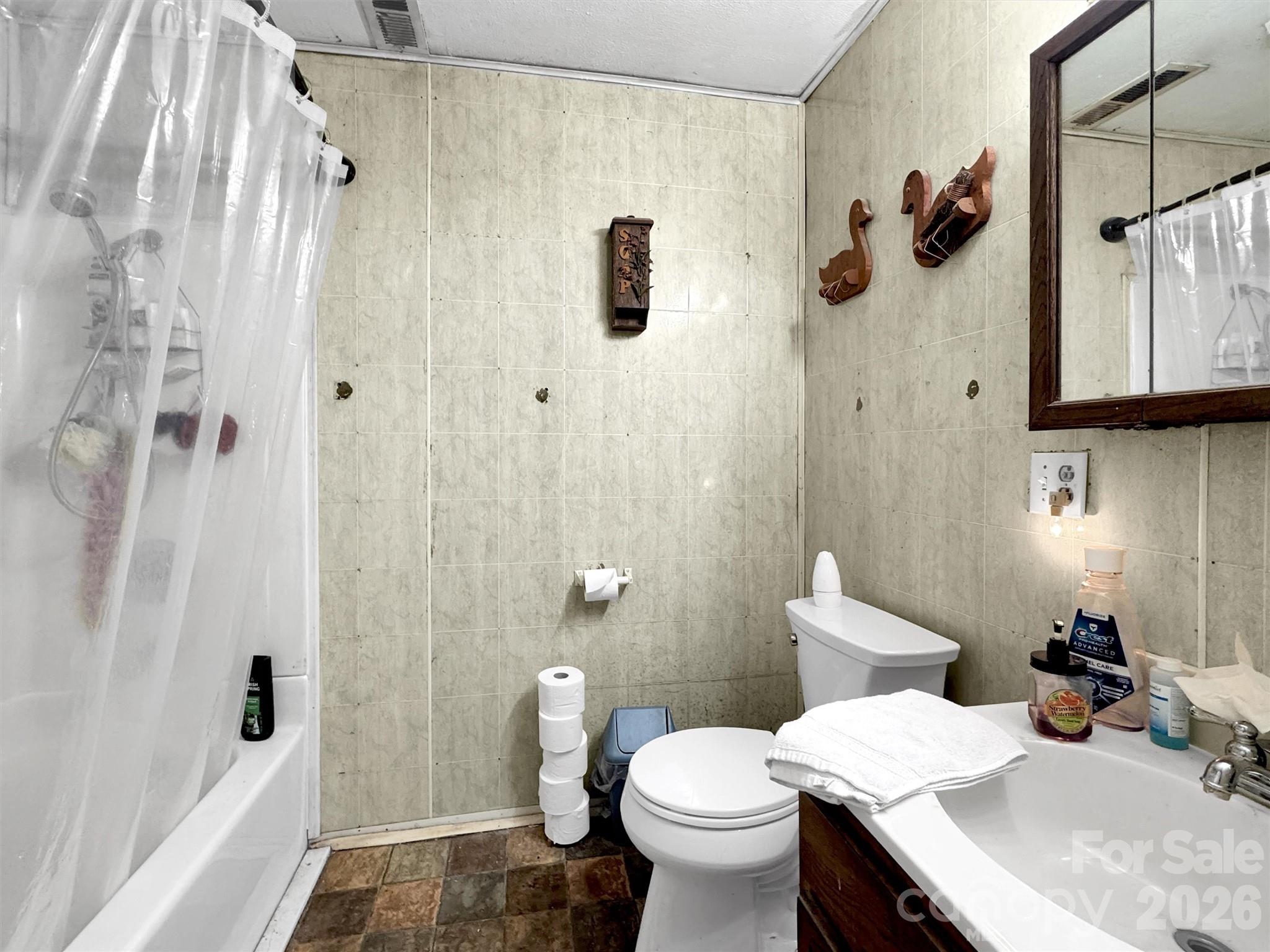 301 Mulberry Street Clyde, NC 28721 - Photo 9 of 23 a bathroom with a sink toilet and shower