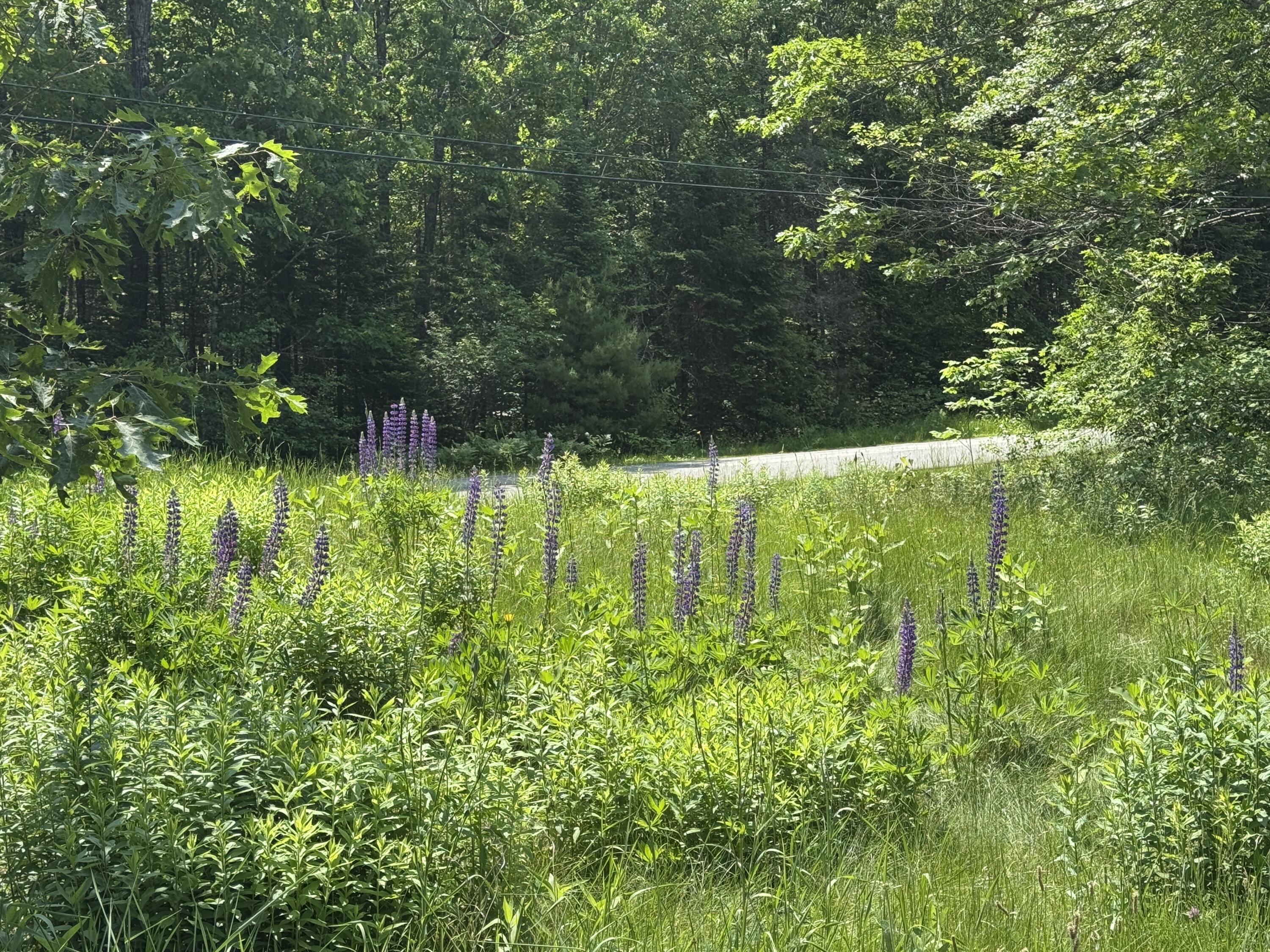 222 Mud Mill Road Augusta, ME 04330 - Photo 8 of 9 IMG_8506