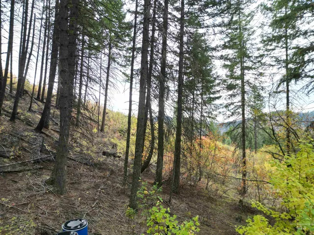 $175,000 | 905 Hidden Valley Lane, Weippe, ID 83553