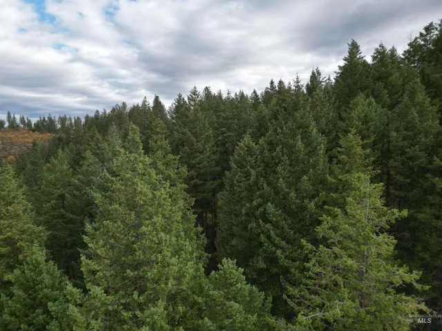 $175,000 | 905 Hidden Valley Lane, Weippe, ID 83553