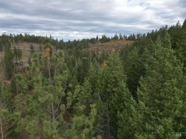 $175,000 | 905 Hidden Valley Lane, Weippe, ID 83553