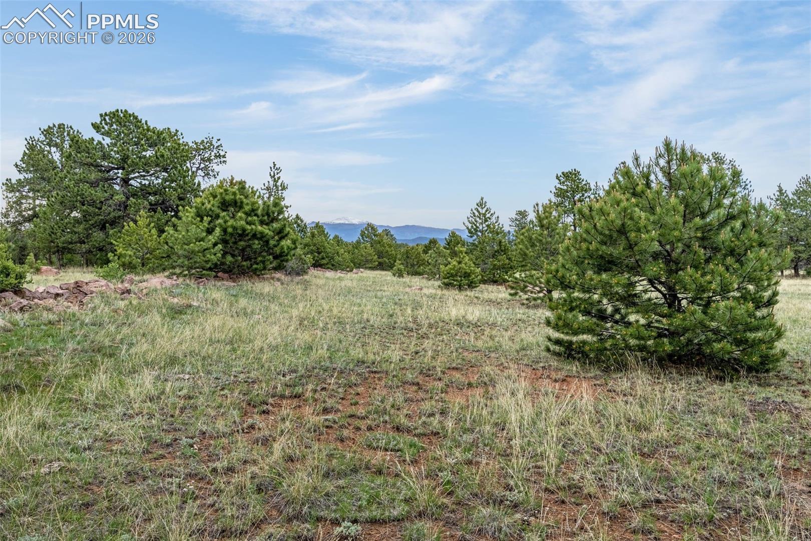 143 Ring Road Guffey, CO 80820 - Photo 29 of 36 View of undeveloped land featuring a view of Pike's Peak.