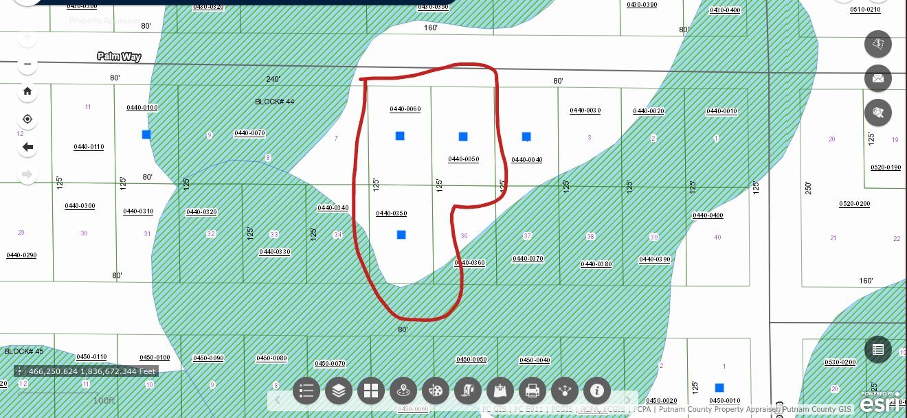 329 Palm Way Georgetown, FL 32139 - Photo 7 of 7 an aerial view of a swimming pool with a swimming pool