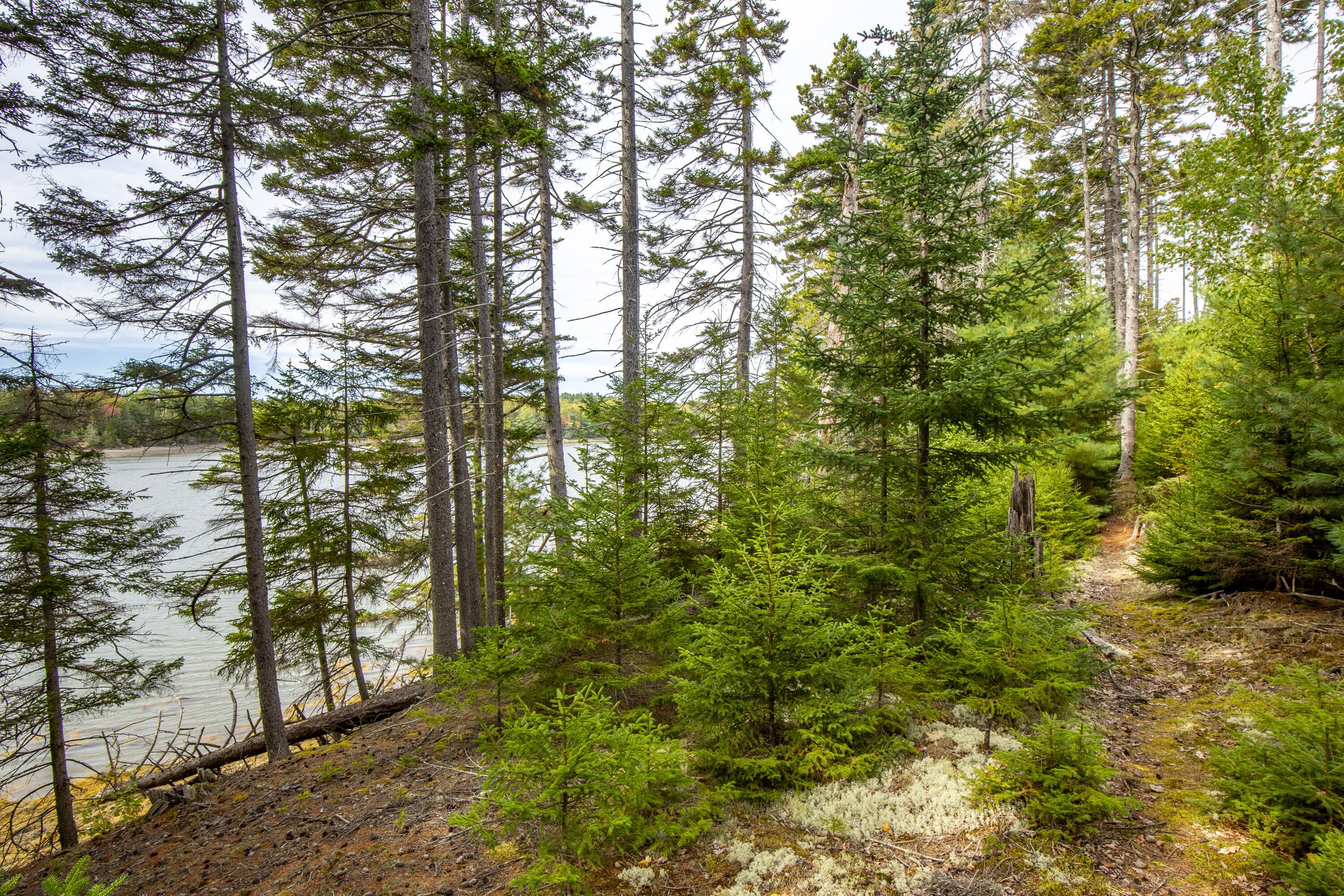 Lot 7 Ocean Ridge Road Cushing, ME 04563 - Photo 11 of 20 12-Lot7-OceanRidgeRd-Cushing-KS