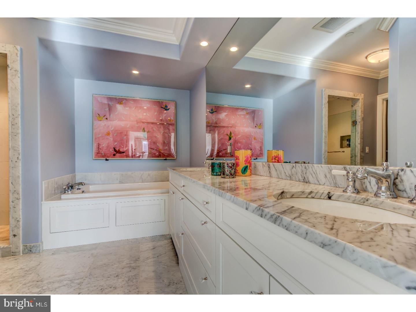 102 Louella Avenue, Unit B2 Wayne, PA 19087 - Photo 12 of 18