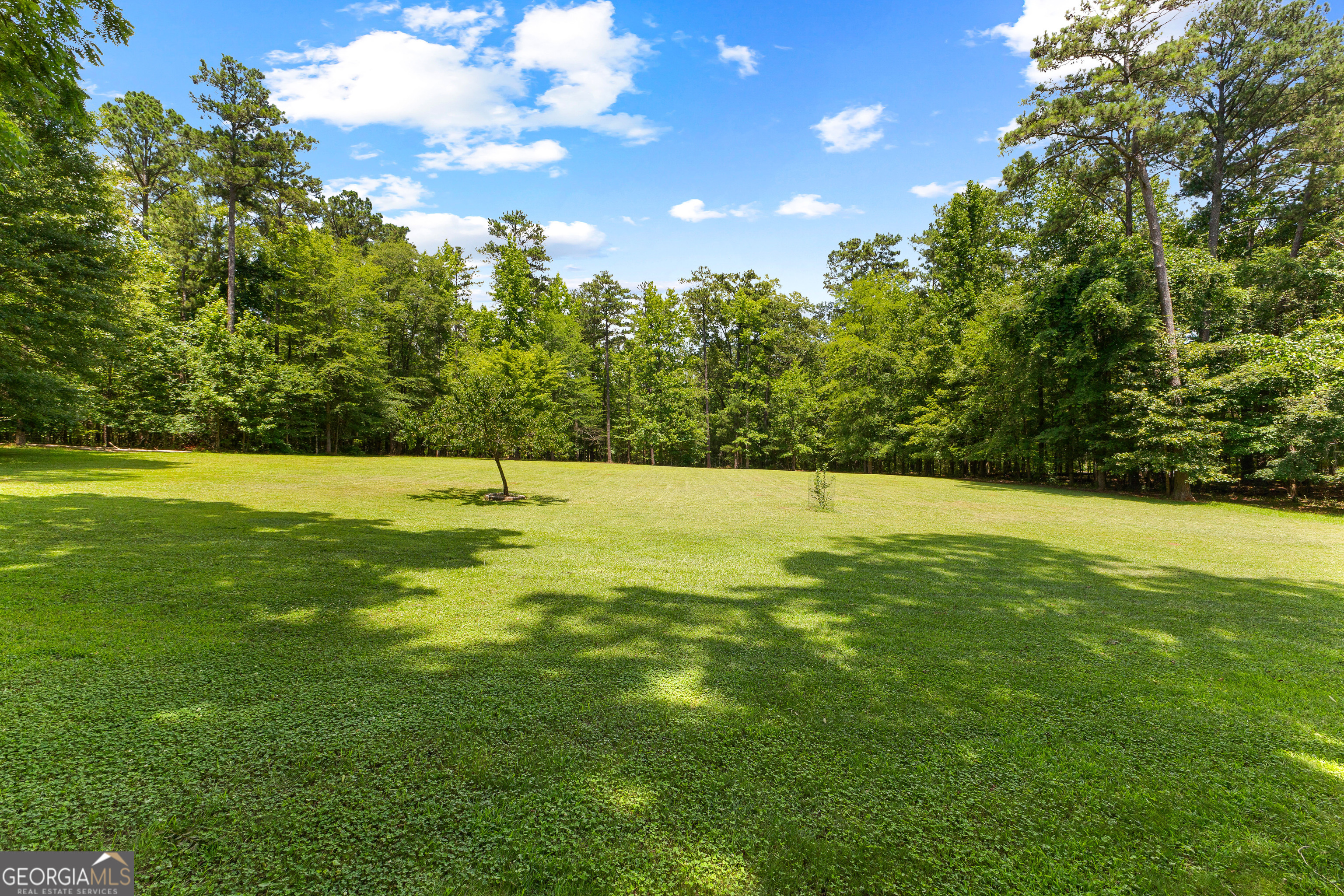152 Bear Creek Road Moreland, GA 30259 - Photo 29 of 32