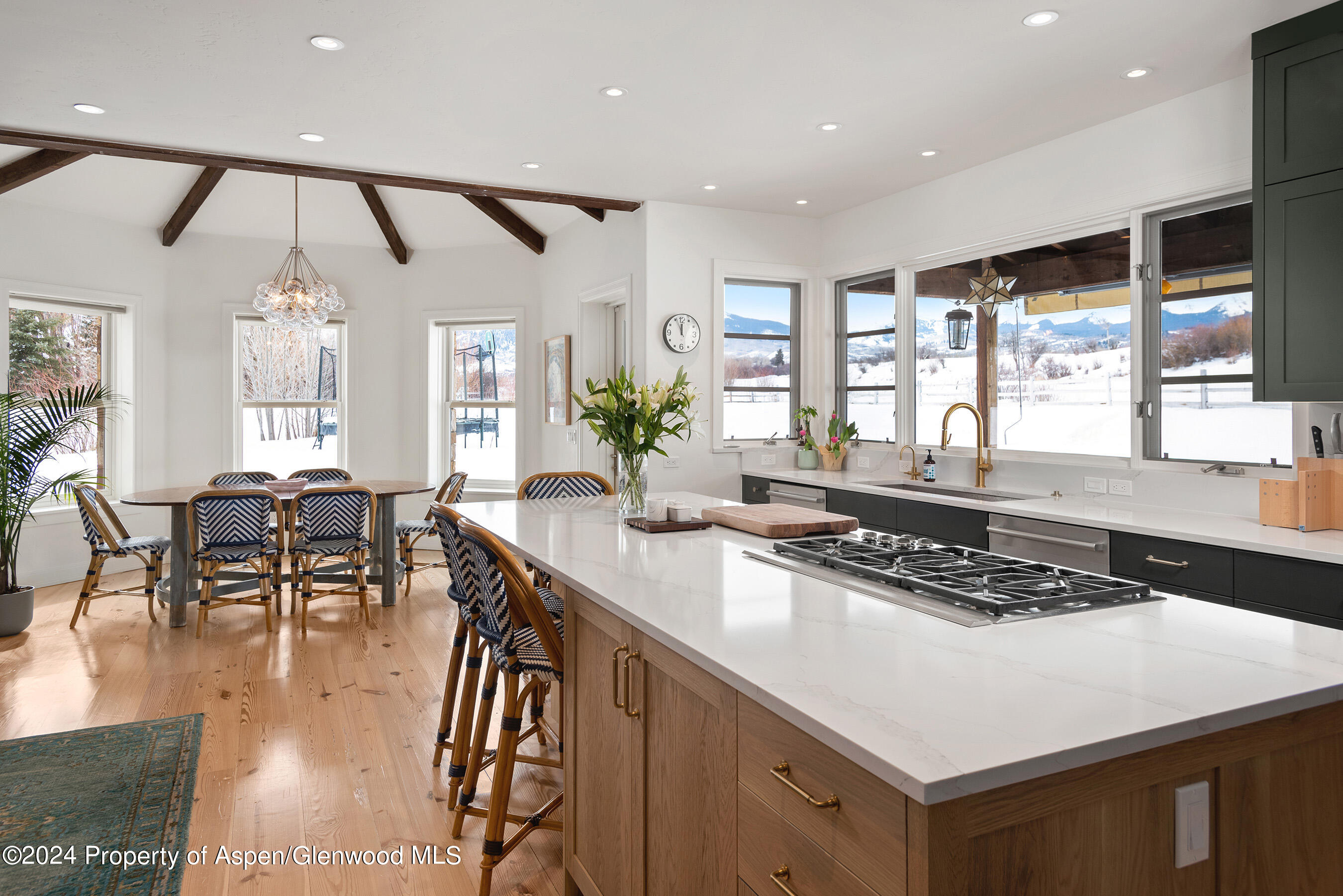 262 Haystack Lane Snowmass, CO 81654 - Photo 7 of 43 kitchen view