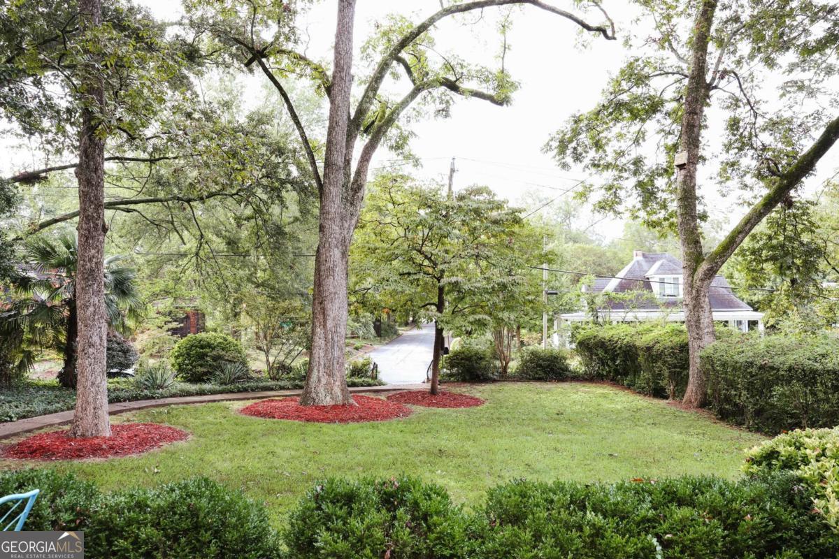 552 Cobb Street Athens, GA 30606 - Photo 47 of 55 a view of a backyard with large trees