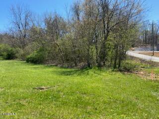 Raper Road Madisonville, TN 37354 - Photo 3 of 6 18722