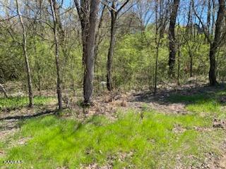Raper Road Madisonville, TN 37354 - Photo 4 of 6 18727