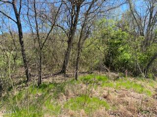 Raper Road Madisonville, TN 37354 - Photo 5 of 6 18726