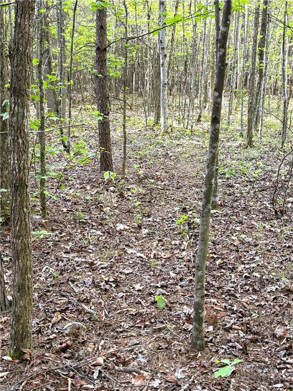 521 Matrimony Road Eden, NC 27288 - Photo 20 of 36 Gallery Image 20