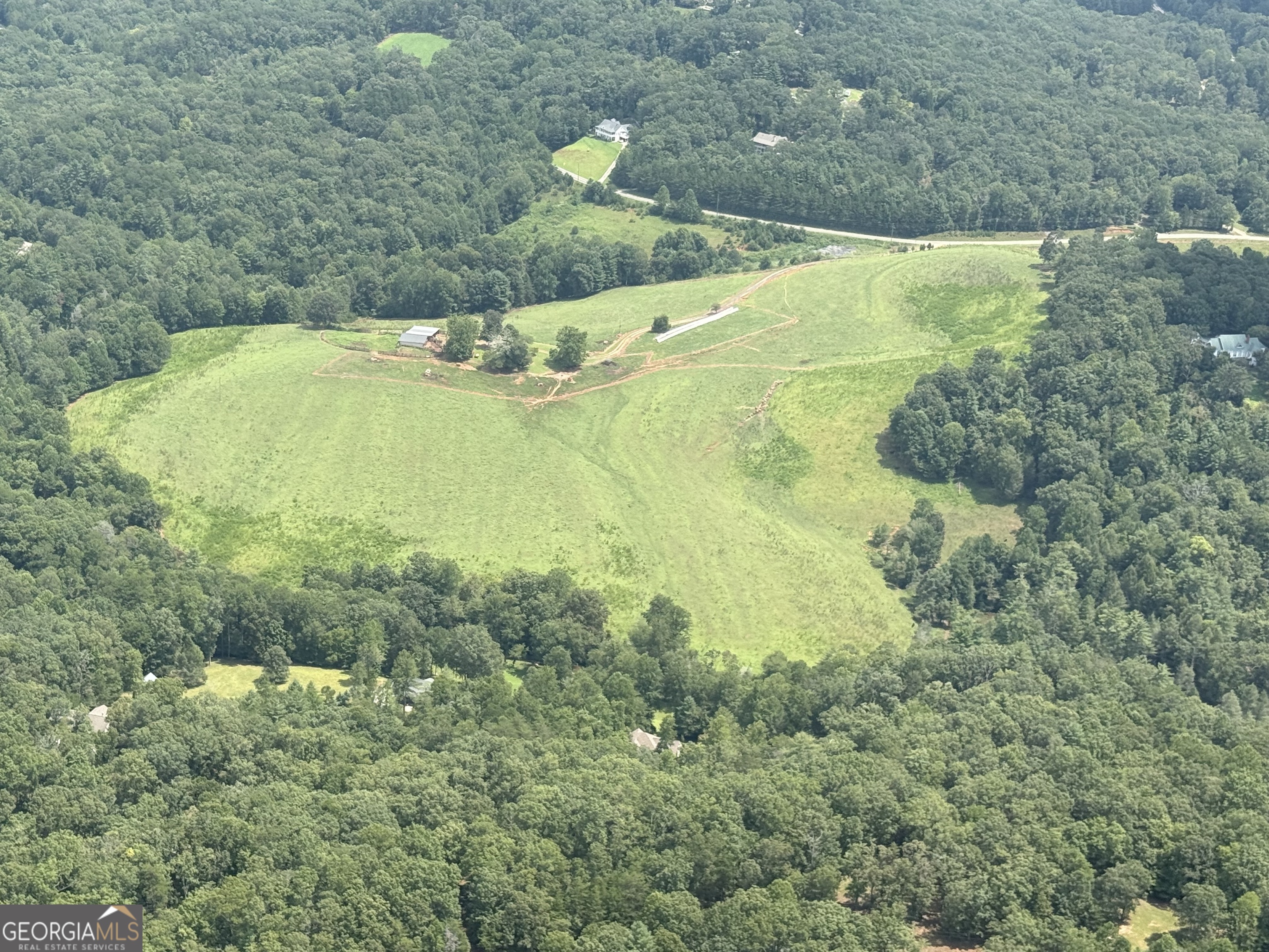 a view of a lush green forest with lawn chairs and large trees