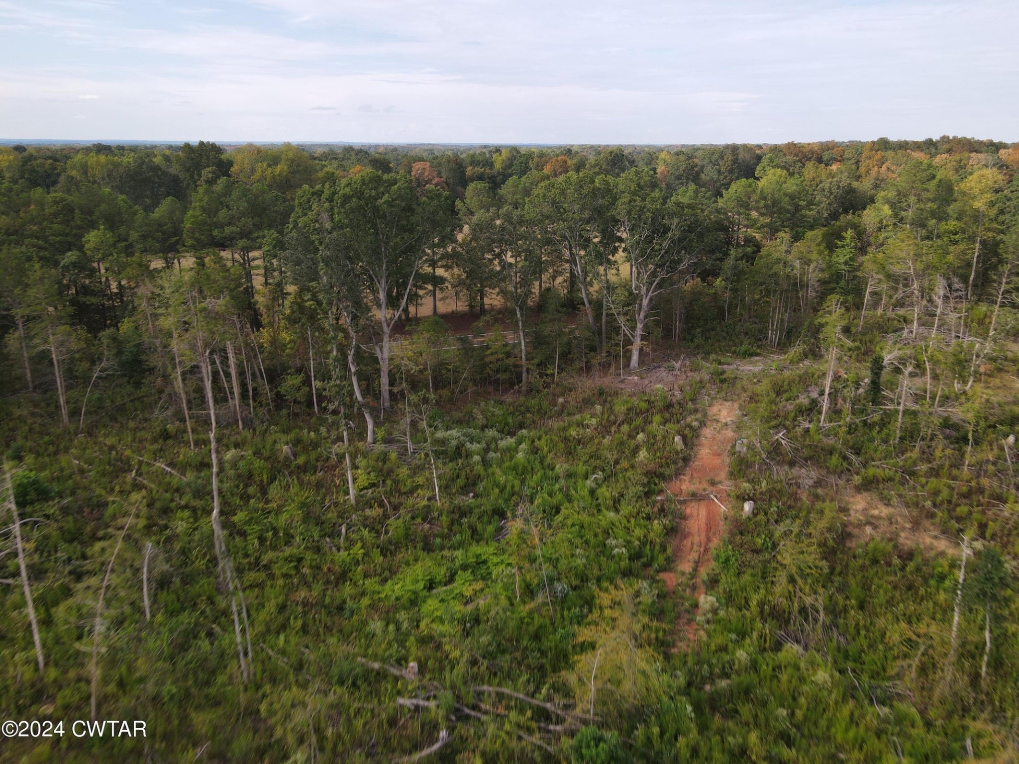 0 Tract 3 Highway Decaturville, TN 38329 - Photo 5 of 5 Gallery Image 5
