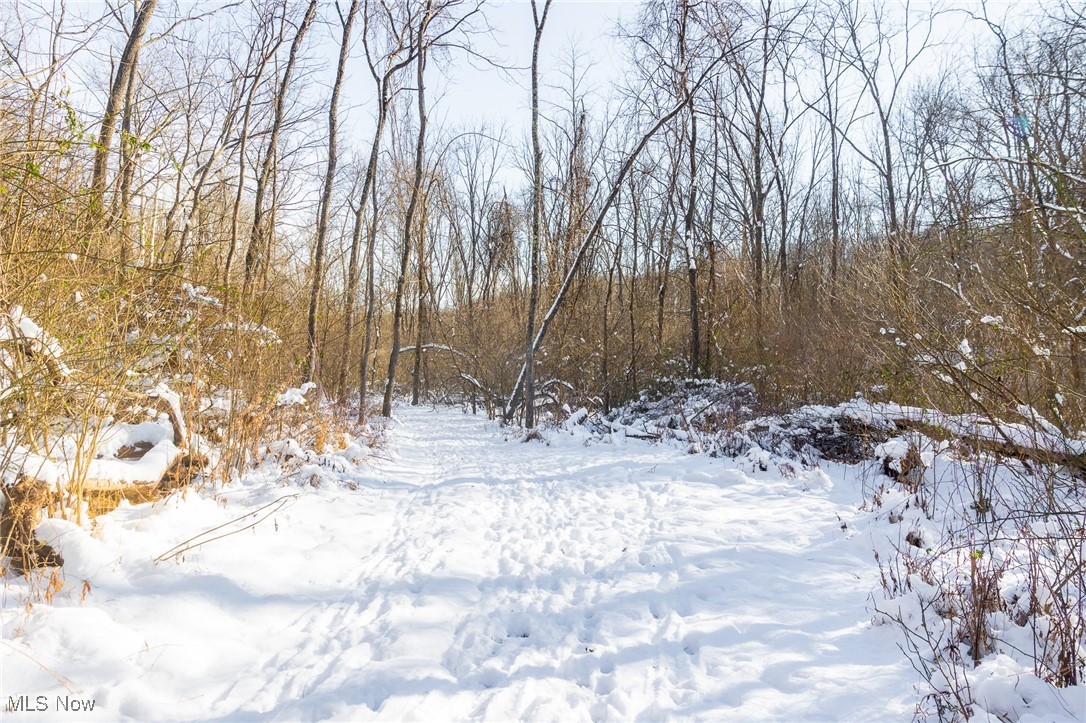 138 Township Road Coshocton, OH 43812 - Photo 20 of 47 Yard layered in snow featuring a forest view