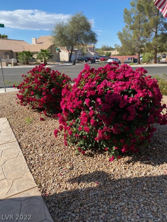 1720 Flat Ridge Road Henderson, NV 89014 - Photo 33 of 33