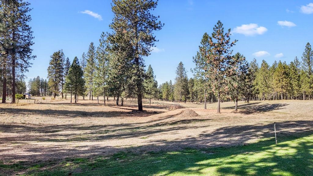 3712 South Ritchey Road Medical Lake, WA 99022 - Photo 47 of 49