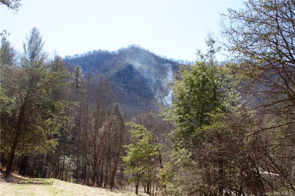 0 Little East Fork Road Canton, NC 28716 - Photo 2 of 11 Gallery Image 2