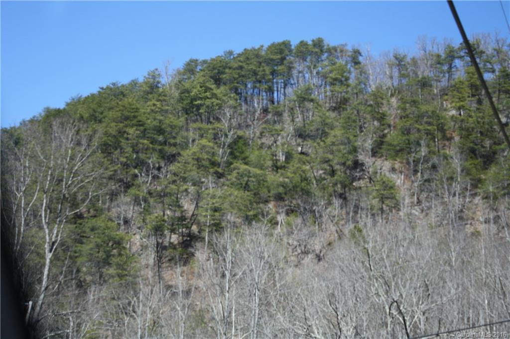 0 Little East Fork Road Canton, NC 28716 - Photo 11 of 11 Gallery Image 11