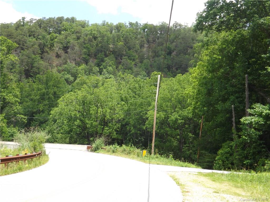 0 Little East Fork Road Canton, NC 28716 - Photo 3 of 11 Gallery Image 3