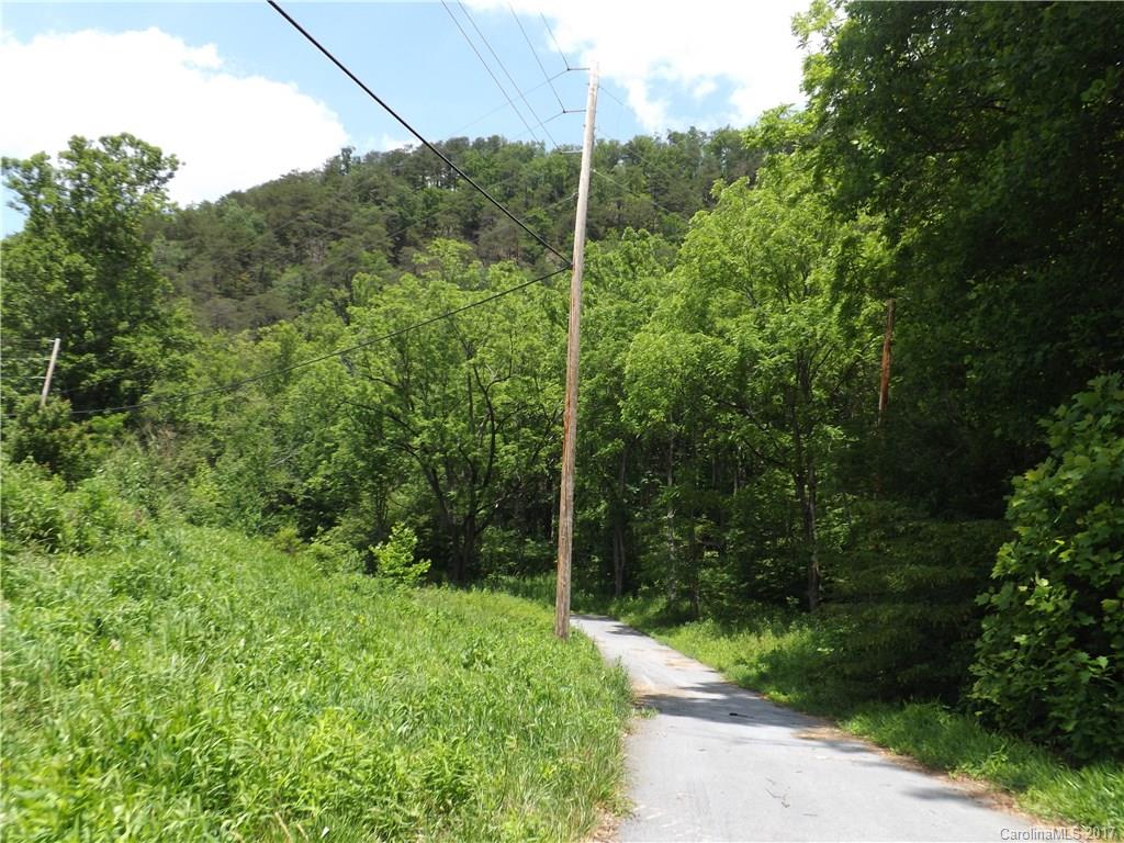 0 Little East Fork Road Canton, NC 28716 - Photo 4 of 11 Gallery Image 4