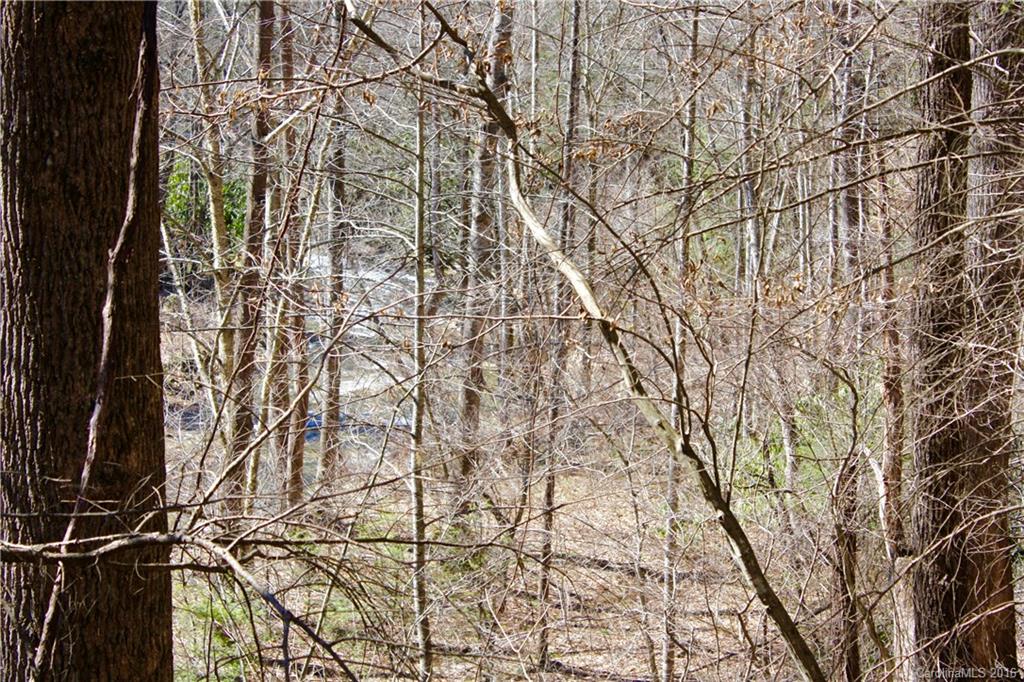 0 Little East Fork Road Canton, NC 28716 - Photo 5 of 11 Gallery Image 5