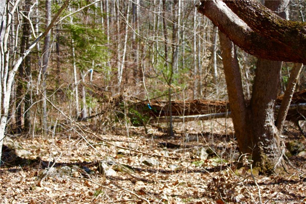 0 Little East Fork Road Canton, NC 28716 - Photo 6 of 11 Gallery Image 6